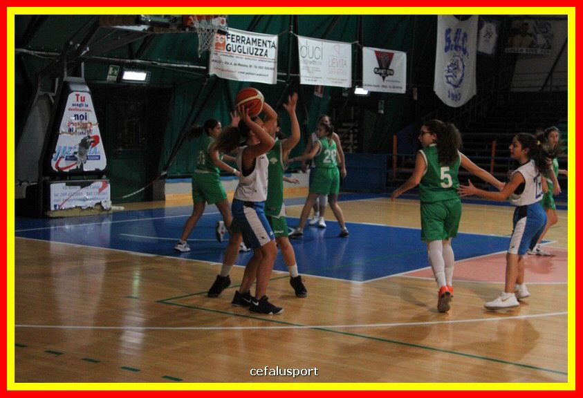 181126 Basket_Femm 023_tn.JPG